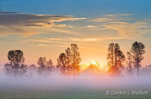 Tree Line At Sunrise_14126.jpg - Photographed near Smiths Falls, Ontario, Canada.